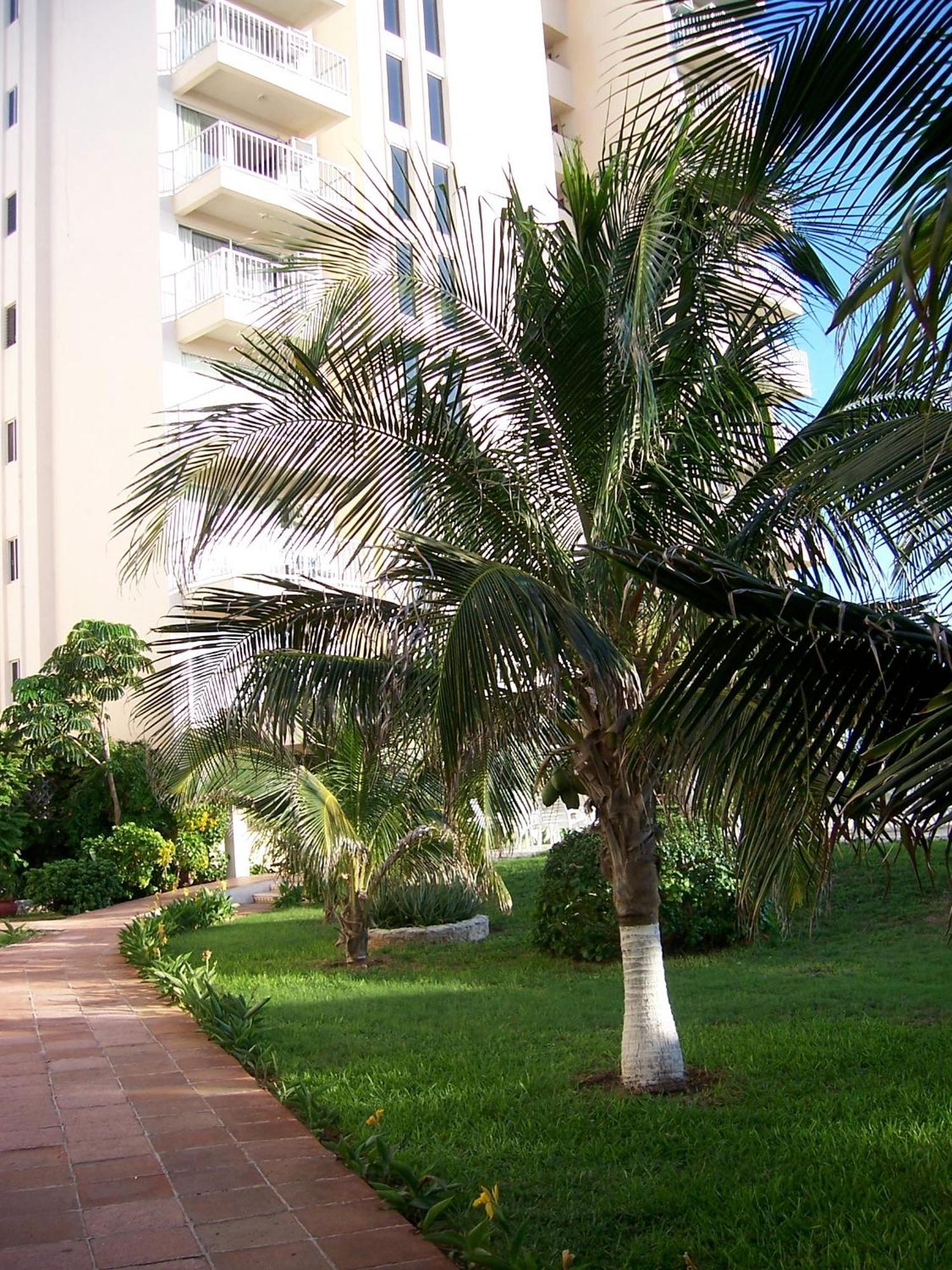 Salvia Cancun Aparts Eksteriør bilde
